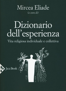 Cover of DICTIONARY OF EXPERIENCE