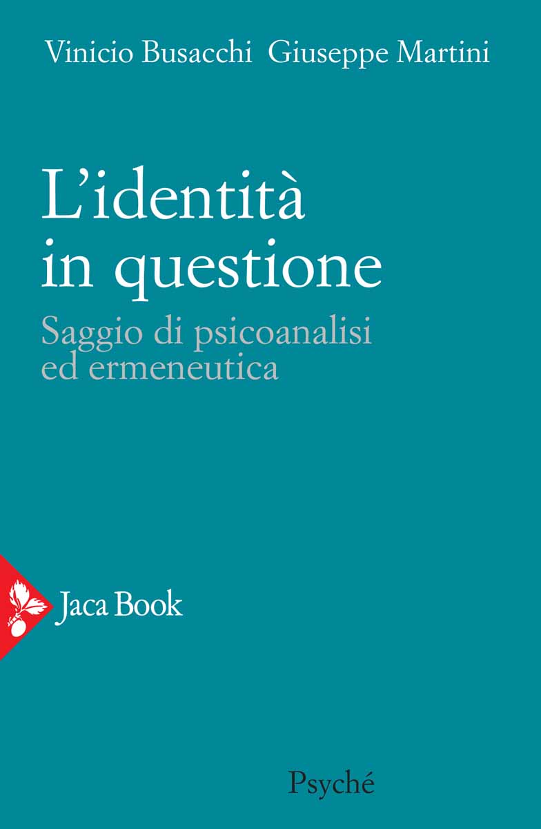 Cover of THE IDENTITY IN QUESTION